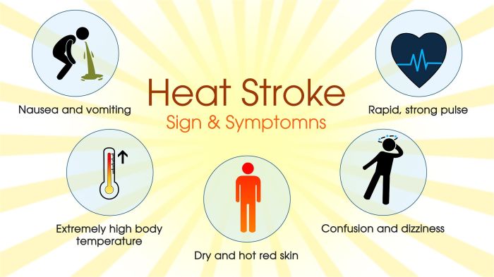 Medication and heatstroke in seniors