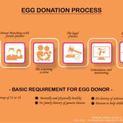 How much do egg donors get paid in california