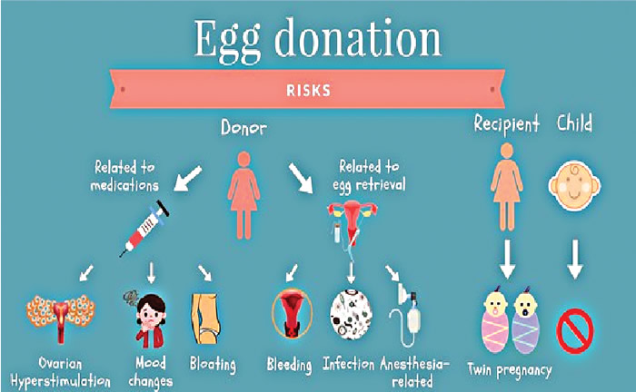 Can you donate eggs if you have your tubes tied