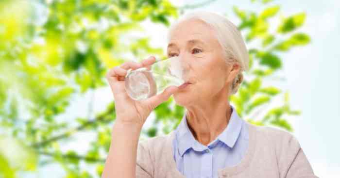 How much water should seniors drink in summer