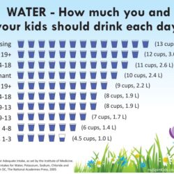 How much water should seniors drink in summer