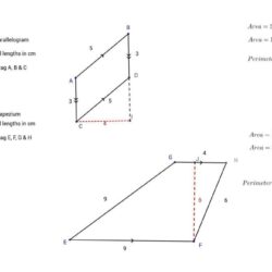 Surface area of prisms and cylinders worksheet answers