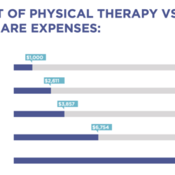 How much does a physical therapist make an hour in ohio