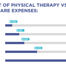 What does a physical therapist make a year