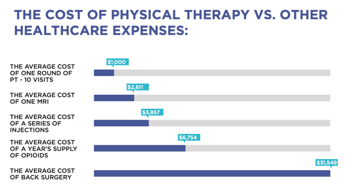 What does a physical therapist make a year