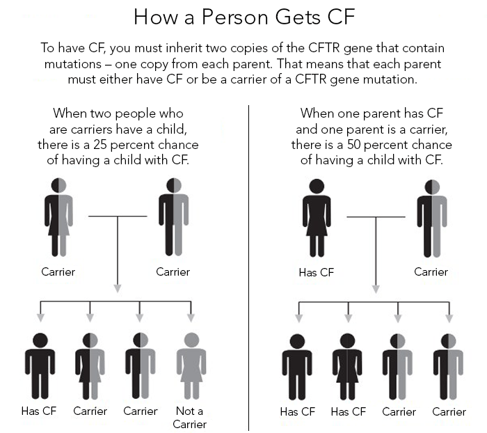 My husband and i are both carriers of cystic fibrosis