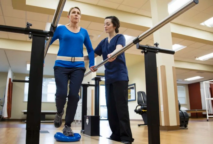 How much do a physical therapist make a year