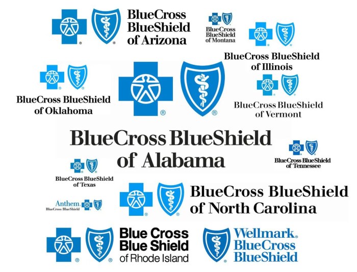 Blue cross shield insurance michigan health decision logo tennessee term short overhaul coverage healthcare responds bcbs oks house mandate individual