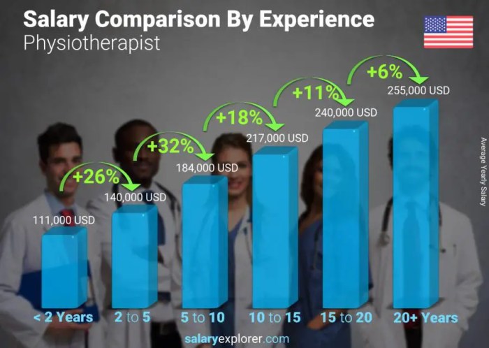 How much does a physical therapist make per year