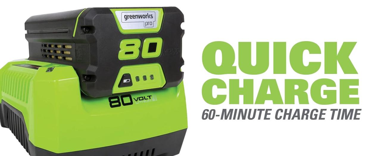 Greenworks 80v battery