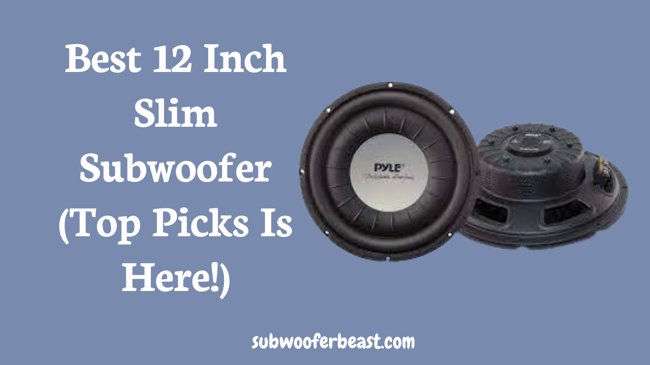 What is the hardest hitting 12 inch subwoofer